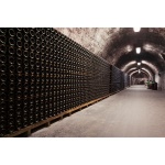 Fototapeta tunel winnicy 2957