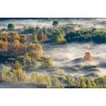  Fototapeta widok, krajobraz, las 5582