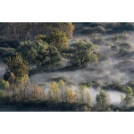  Fototapeta widok, krajobraz, las 5583