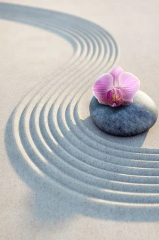  Fototapeta zen 136p