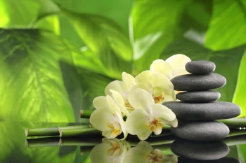 Fototapeta zen kamienie 723a