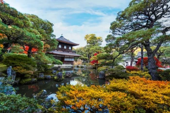  Fototapeta zen ogród 732a