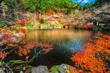  Fototapeta zen ogród 734a