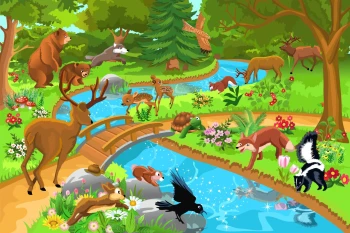  Fototapeta zwierzątka 3644