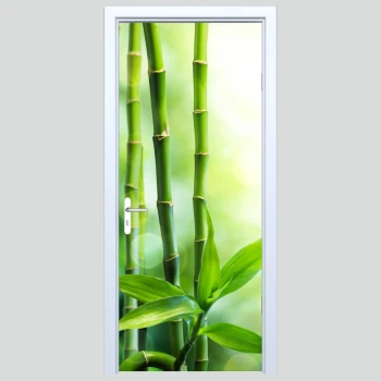  Fototapety na drzwi ogród zen 578a