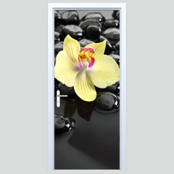  Fototapety na drzwi orchidea 579a