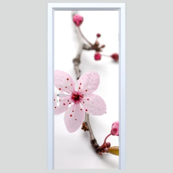  Fototapety na drzwi orchidea 589a