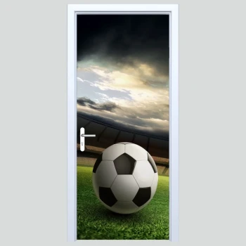  Fototapety na drzwi piłka 438s