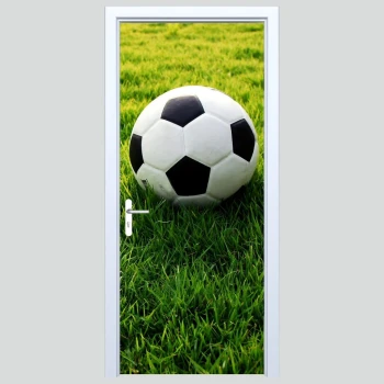  Fototapety na drzwi piłka 443s
