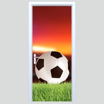  Fototapety na drzwi piłka 448s
