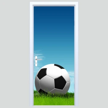  Fototapety na drzwi piłka 450s