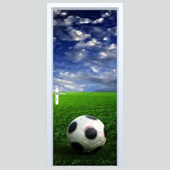  Fototapety na drzwi piłka 452s