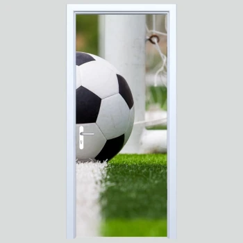  Fototapety na drzwi piłka 457s