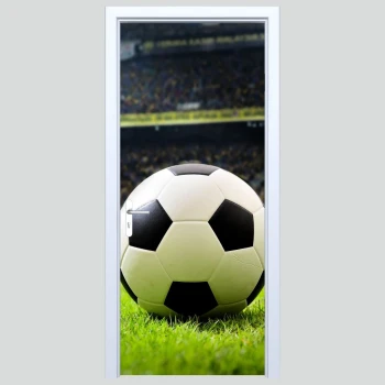  Fototapety na drzwi piłka 460s