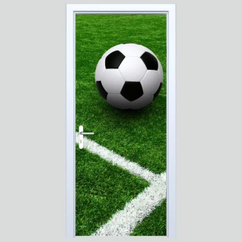  Fototapety na drzwi piłka 461s