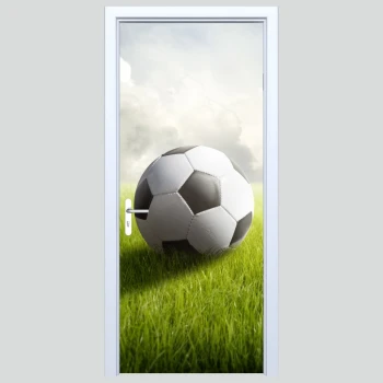  Fototapety na drzwi piłka 463s