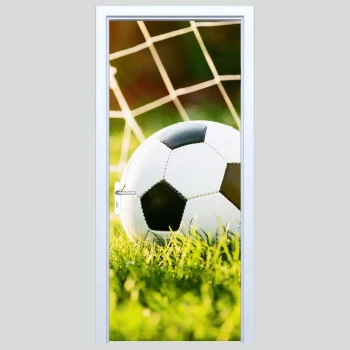  Fototapety na drzwi piłka 464s