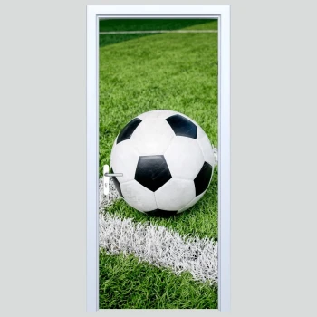  Fototapety na drzwi piłka 465s