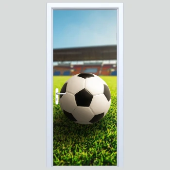  Fototapety na drzwi piłka 468s