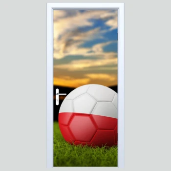  Fototapety na drzwi piłka 473s
