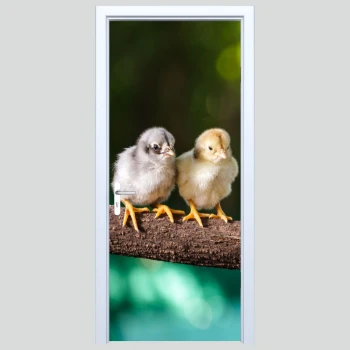  Fototapety na drzwi ptaszki 431s