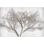  Fototapety na ścianę drzewo 4900