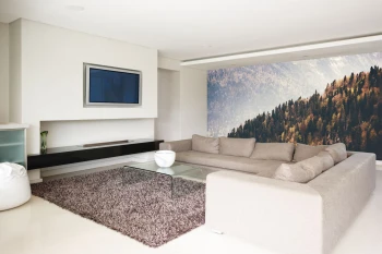  Fototapety na ścianę las 4941