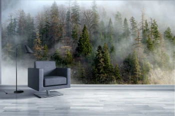  Fototapety na ścianę las 4957