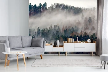  Fototapety na ścianę las 4982