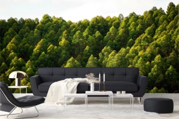  Fototapety na ścianę las 4983