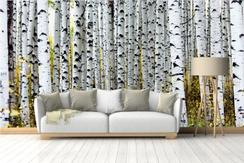  Fototapety na ścianę las brzozy 4960