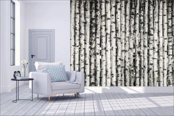  Fototapety na ścianę las brzozy 4964