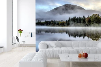  Fototapety na ścianę las drzewa 4947