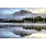  Fototapety na ścianę las drzewa 4947