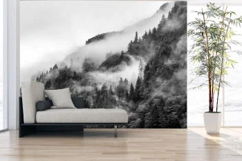  Fototapety na ścianę las drzewa 4952