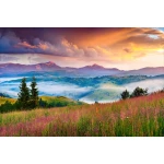  Fototapety na ścianę las drzewa 4956