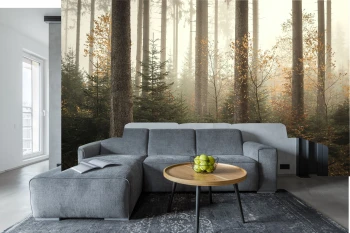  Fototapety na ścianę las drzewa 4961