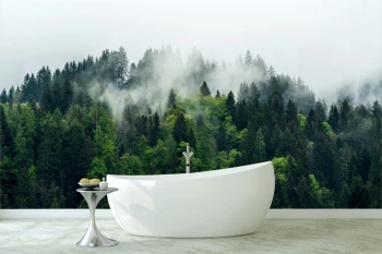  Fototapety na ścianę las drzewa 4965