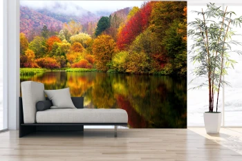  Fototapety na ścianę las drzewa 4966