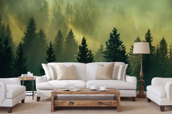  Fototapety na ścianę las drzewa 4969