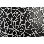  Fototapeta na ścianę  sieci 4998