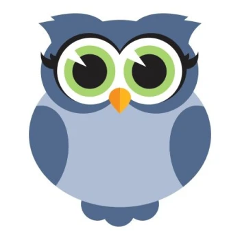  Naklejka kolorowa sowa 41