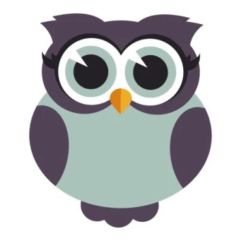  Naklejka kolorowa sowa 43