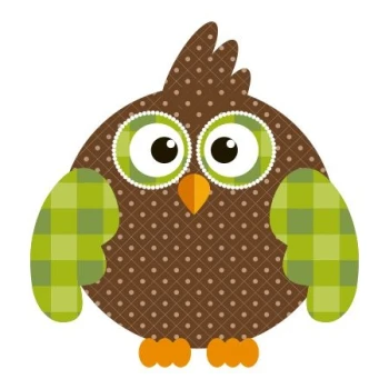  Naklejka kolorowa sowa 60