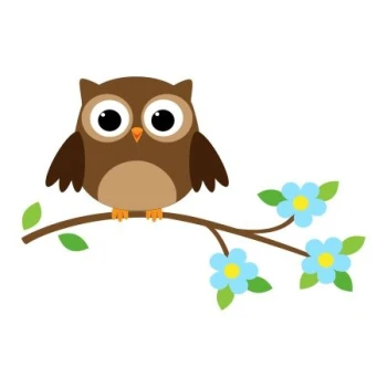  Naklejka kolorowa sówka 6