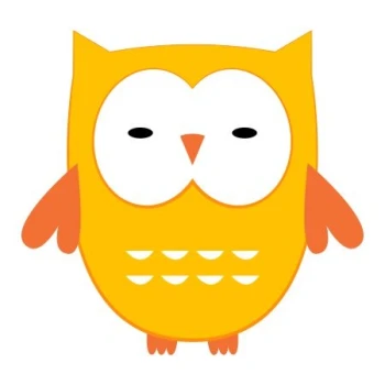  Naklejka kolorowa sówka 51