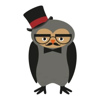  Naklejka kolorowa sówka 88