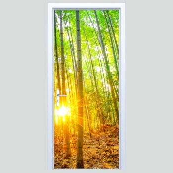  Okleina na drzwi las 316s