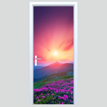  Okleina na drzwi widok 307s