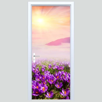  Okleina na drzwi widok 308s